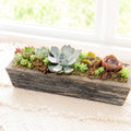 11.25" Rectangle Wooden Planter Succulent Arrangement