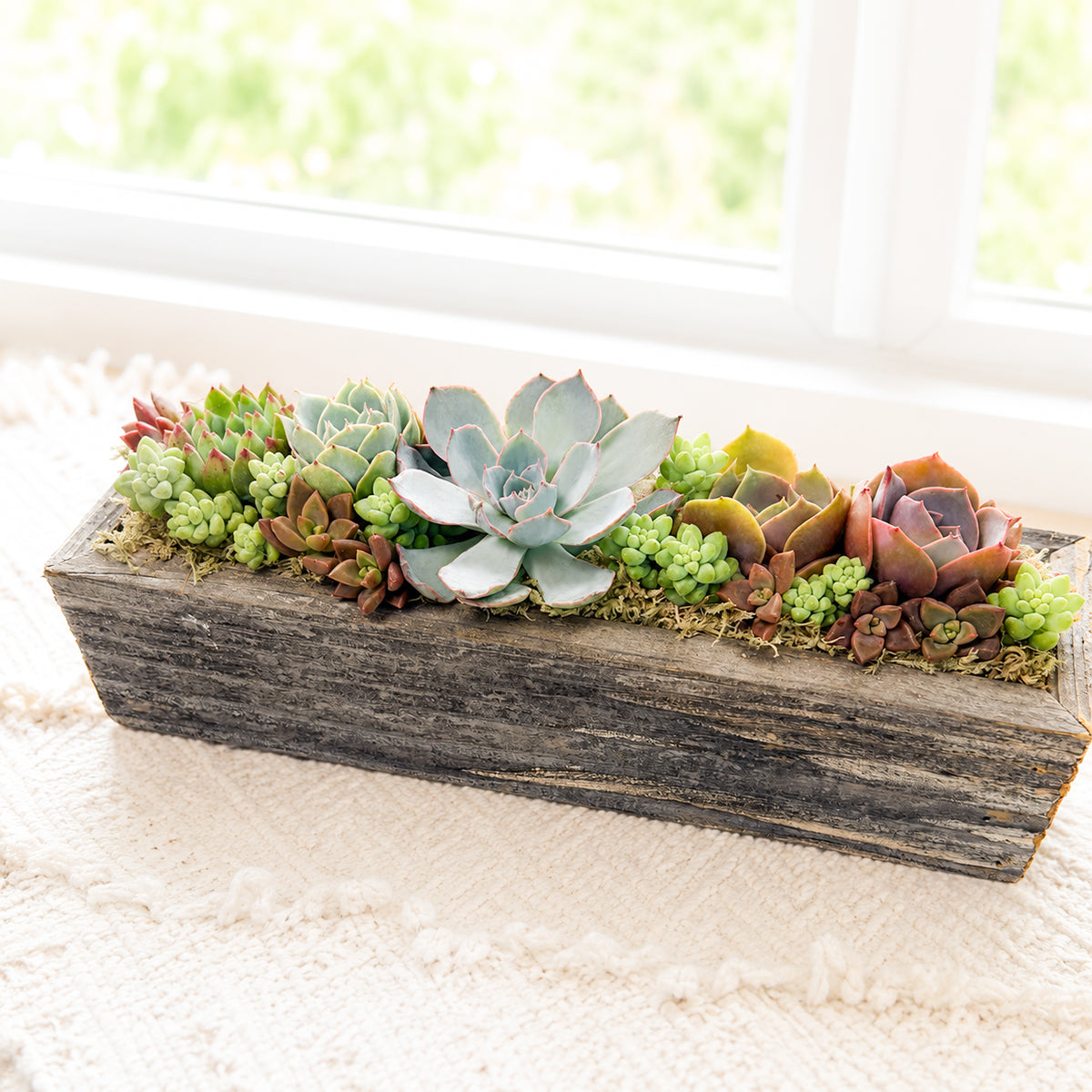 11.25" Rectangle Wooden Planter Succulent Arrangement