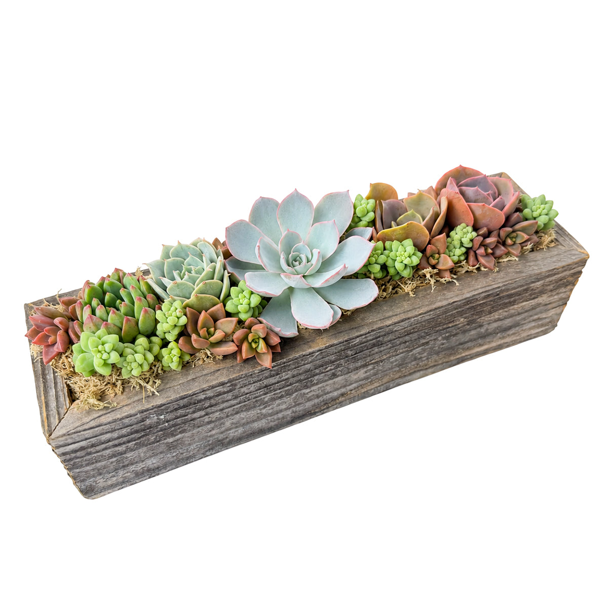 11.25" Rectangle Wooden Planter Succulent Arrangement