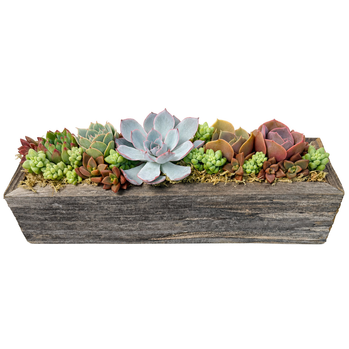 11.25" Rectangle Wooden Planter Succulent Arrangement