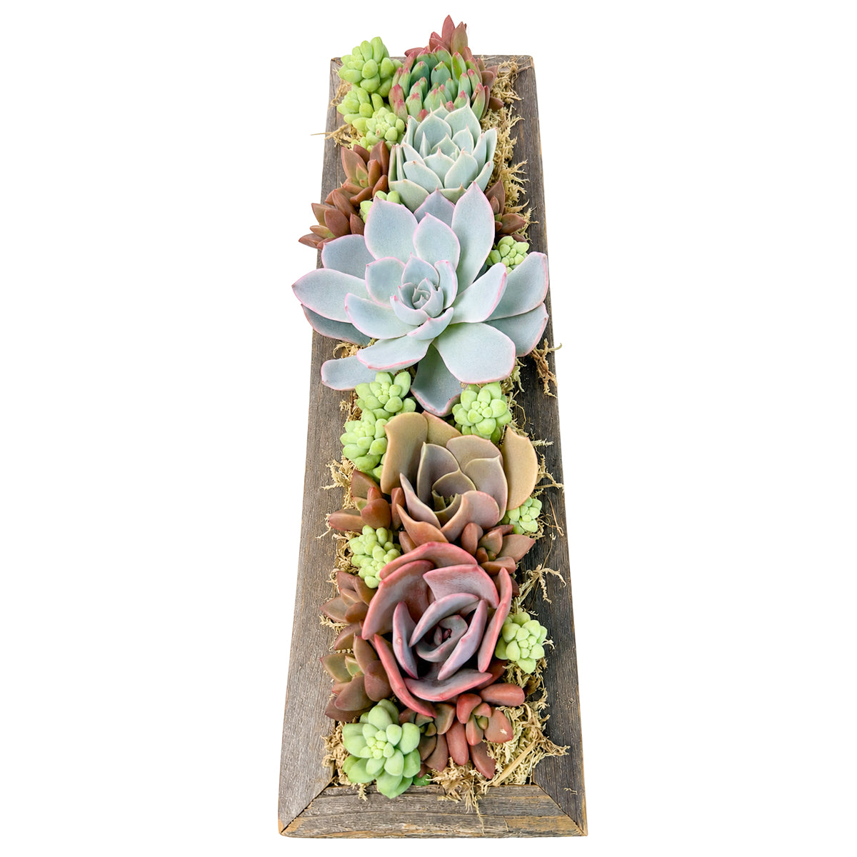 11.25" Rectangle Wooden Planter Succulent Arrangement