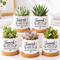 Pack of Personalized Succulent Pot for Corporate Favor - Teamwork