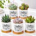 Pack of Personalized Succulent Pot for Corporate Favor - Together we grow