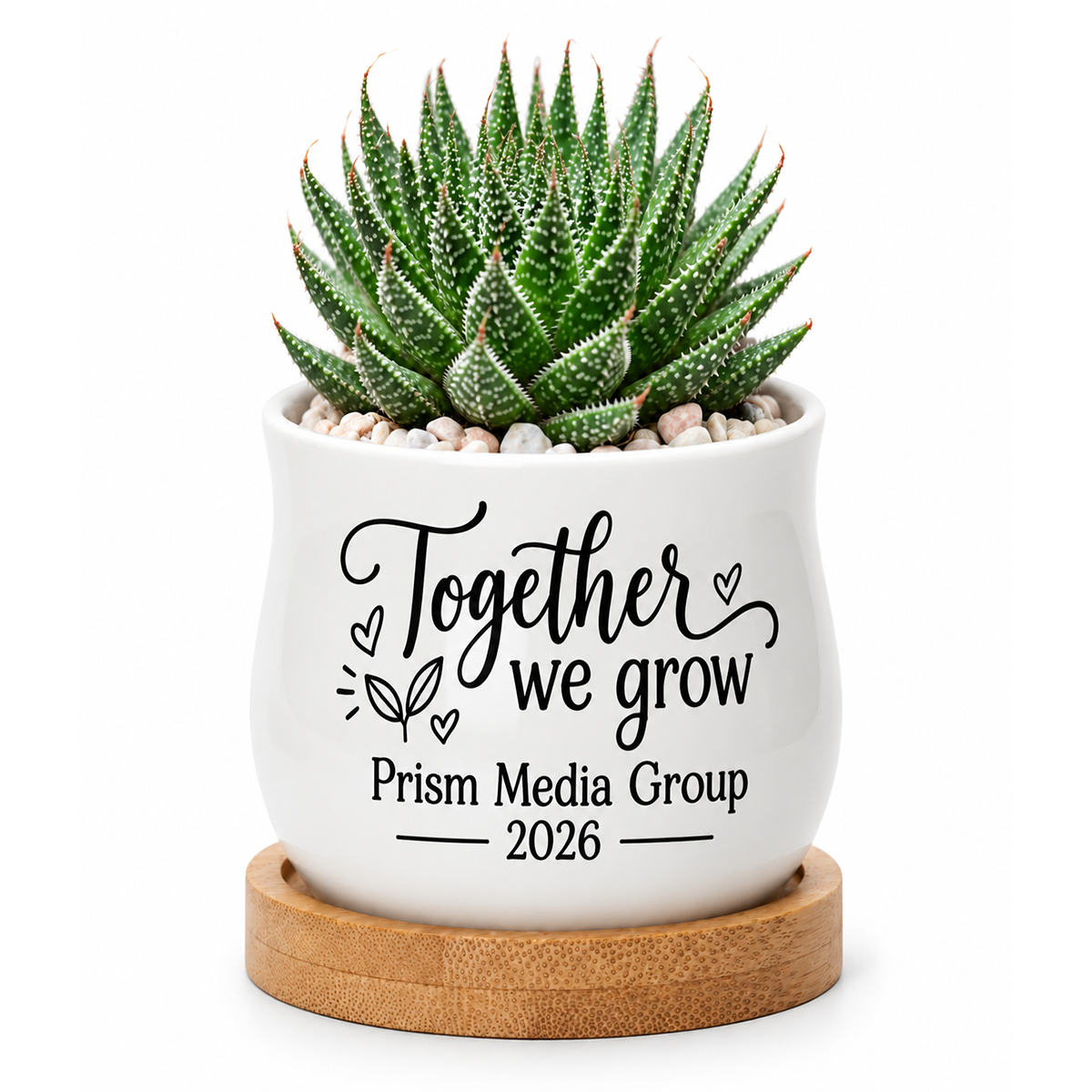 Personalized Succulent Pot for Corporate Favor - Together we grow
