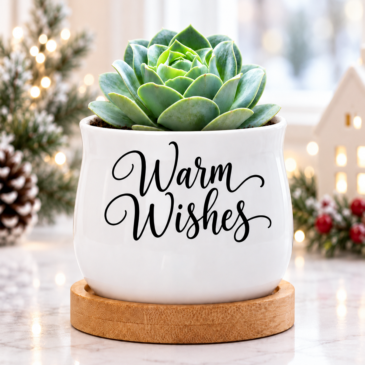 Succulent Pot - Warm Wishes