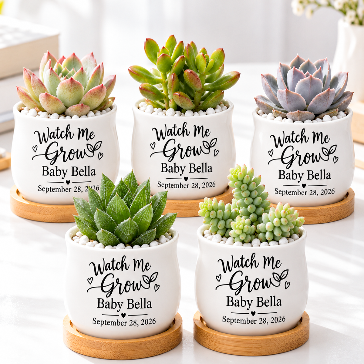 Pack of Personalized Succulent Pot for Baby Shower Favor - Watch Me Grow