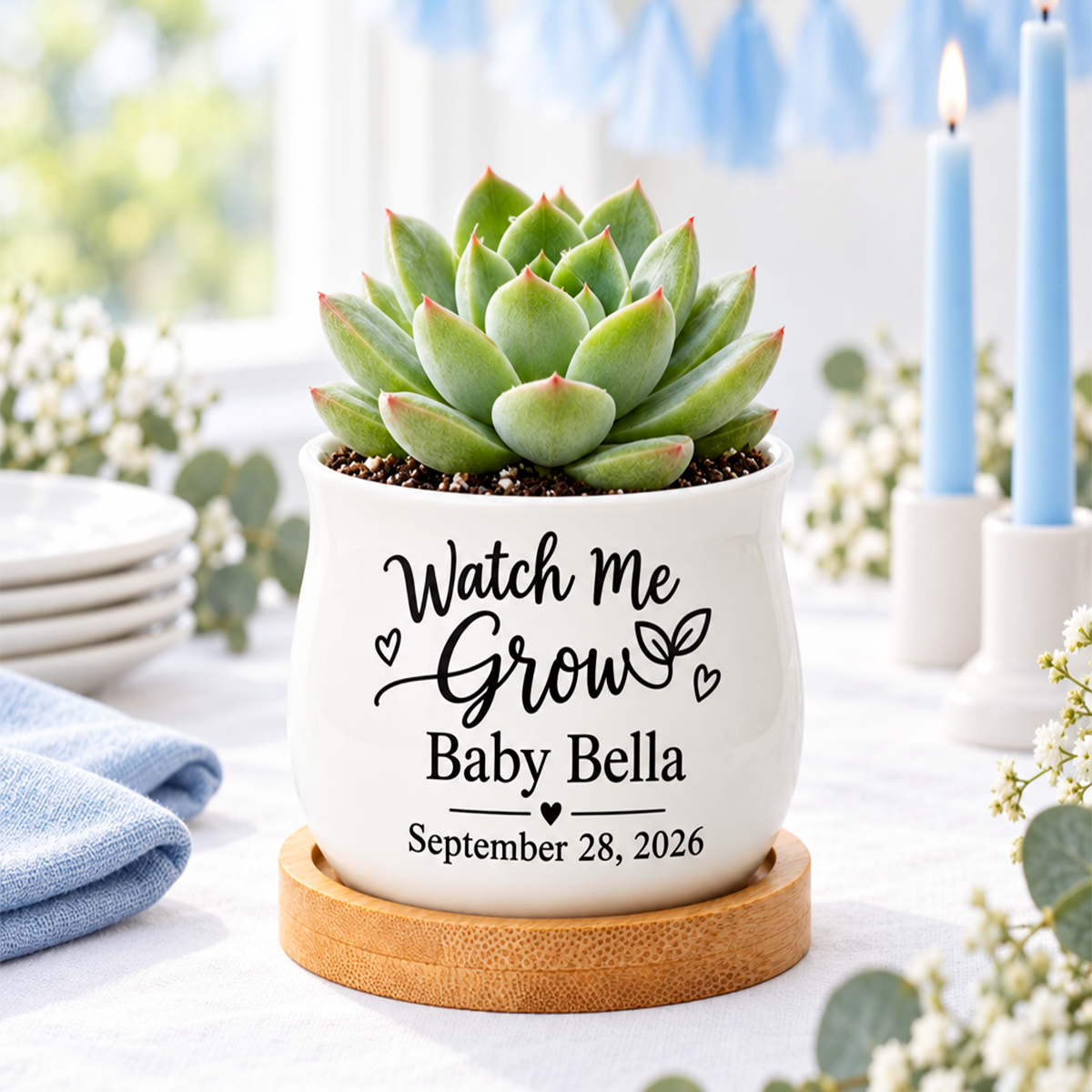 Personalized Succulent Pot for Baby Shower Favor - Watch Me Grow