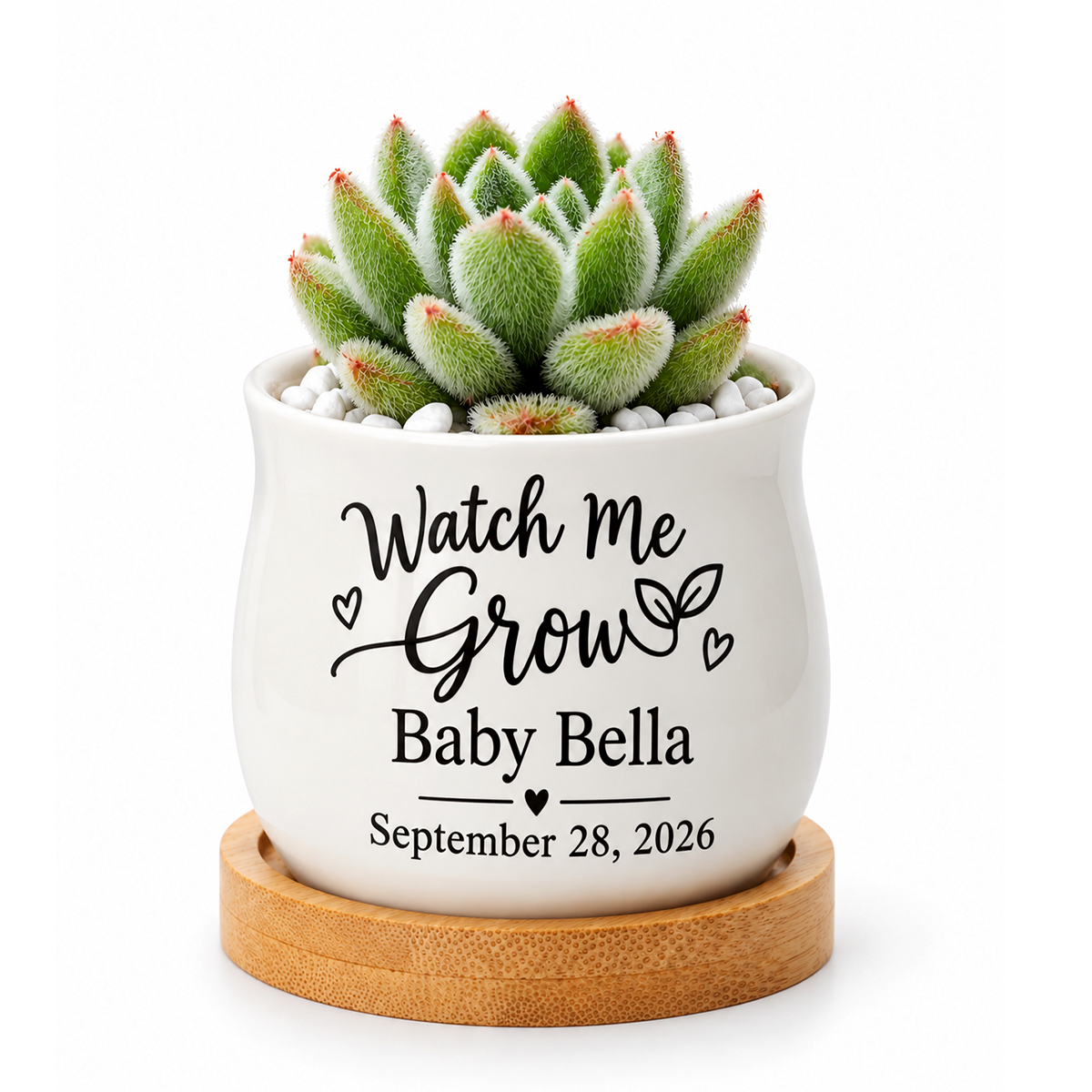 Personalized Succulent Pot for Baby Shower Favor - Watch Me Grow