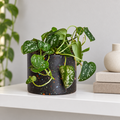 Eco-Friendly Terrazzo Planter