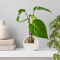 Wall hanging Round Vase